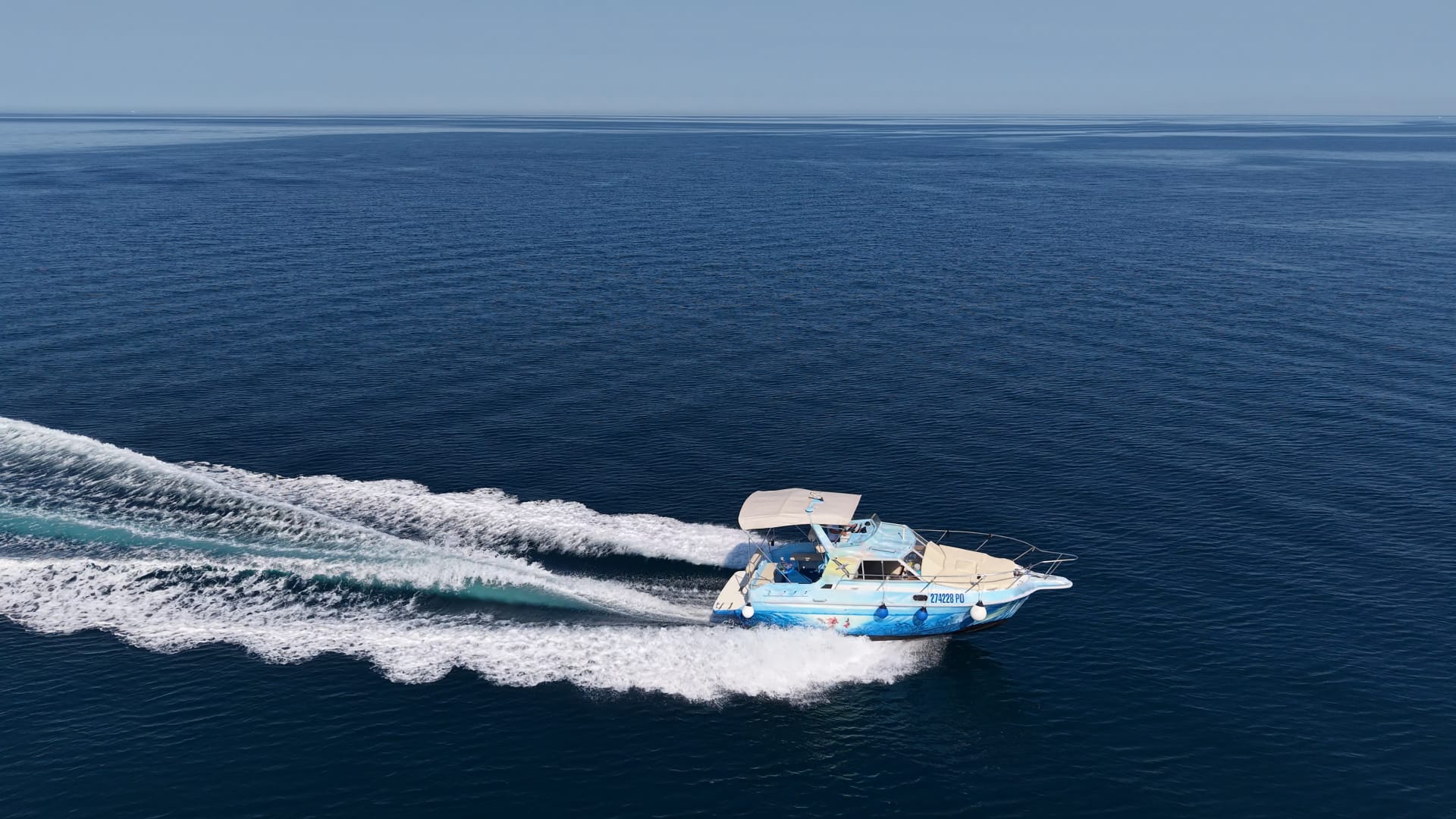 Tunatail Family 2