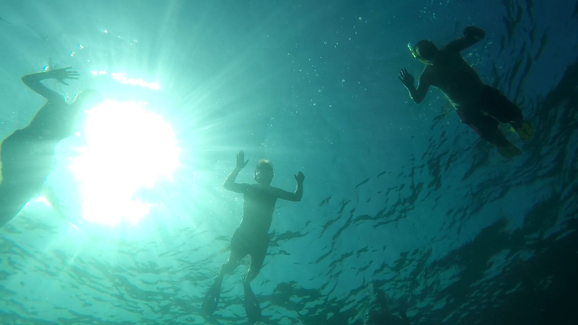 Underwater silhouettes against the sun