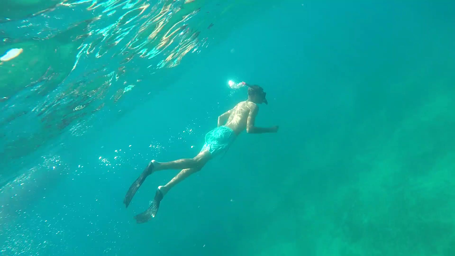 Snorkeler gliding near the surface