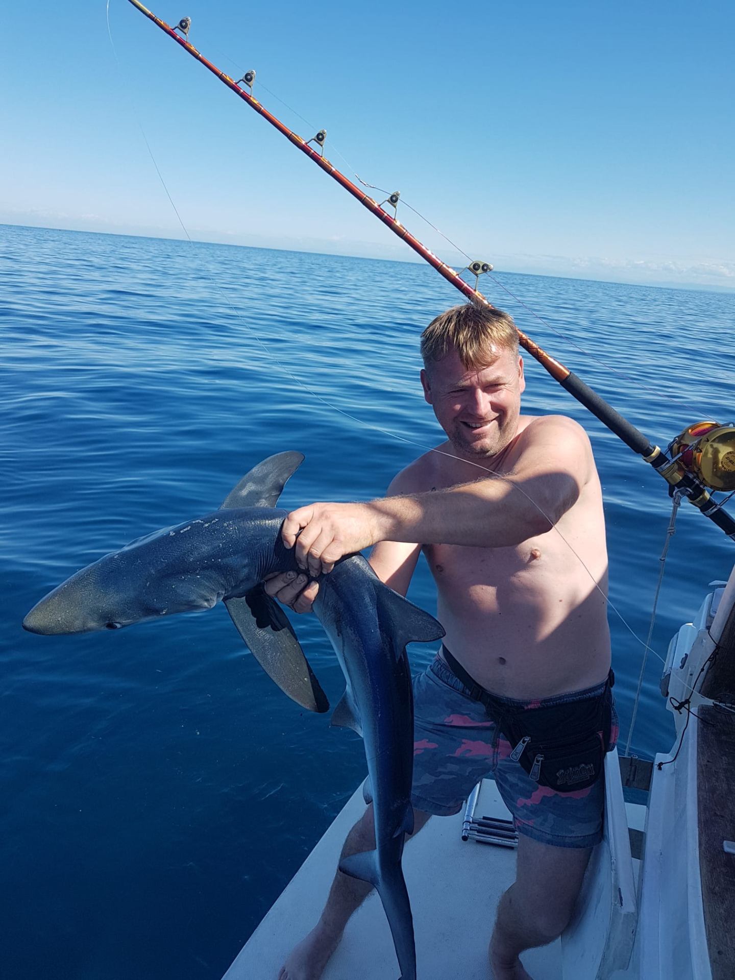 Angler holding a blue shark boatside