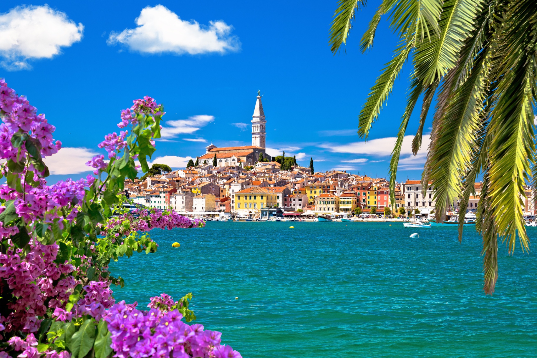 Rovinj Old Town view across the bay