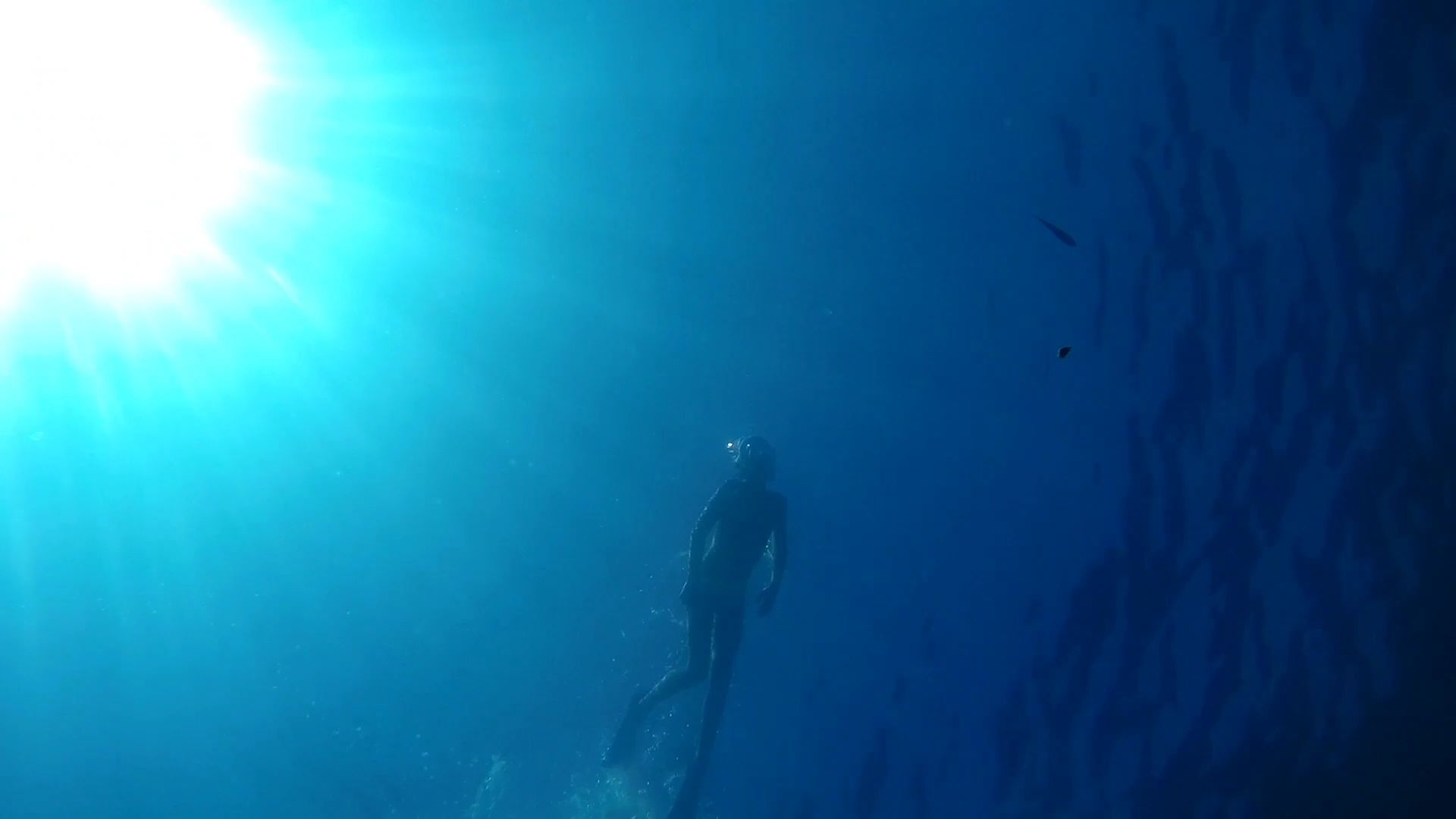 Snorkeling Experience